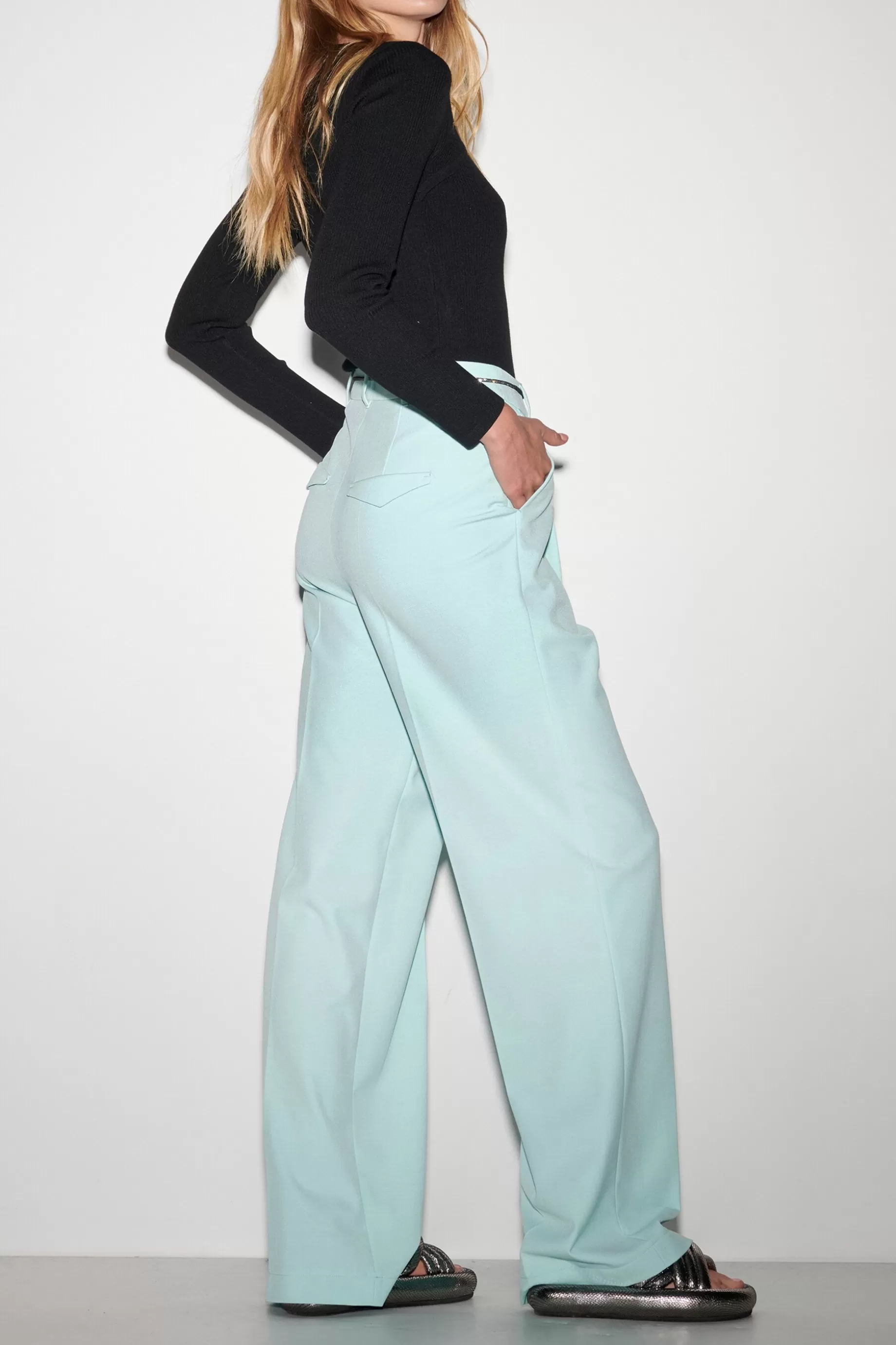 Pantalon Wideleg Avec Plis à La Taille>LUISA CERANO Cheap